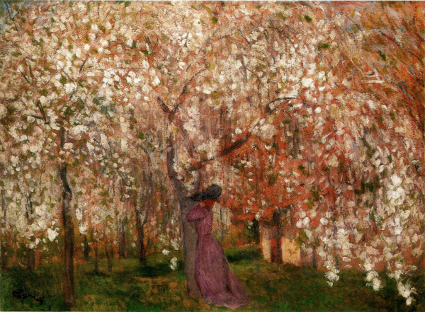 Cherry-Tree